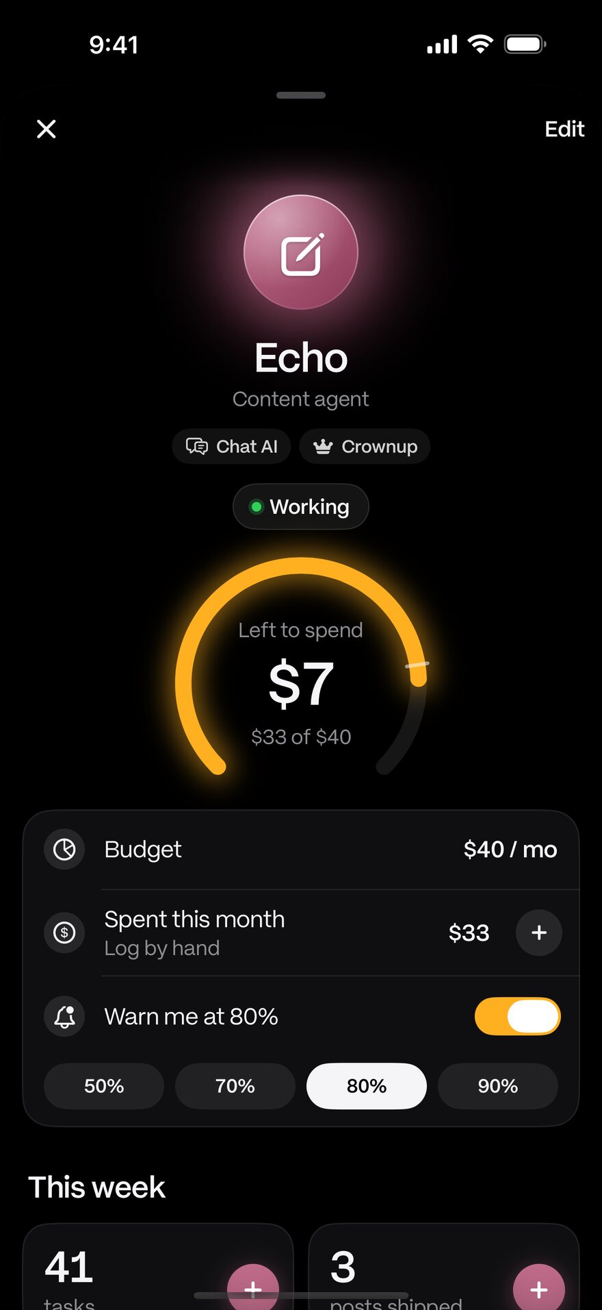One agent: role, budget gauge, warn me at 80% and this week's output